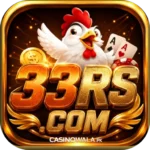 33RS Game