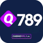Q789 Game