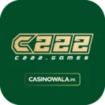 C222 Game