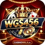 WGS456 Game